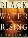 Black Water Rising (MP3): A Novel